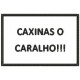 Projeto do emblema "Caxinas"